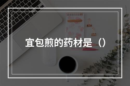 宜包煎的药材是（）