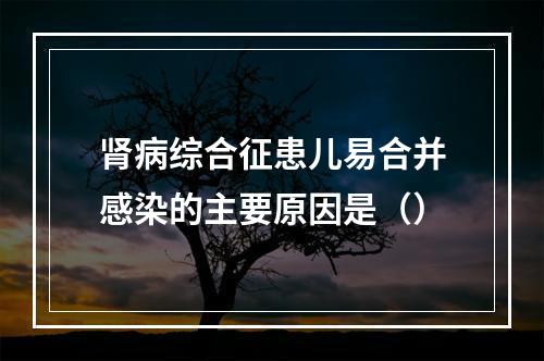 肾病综合征患儿易合并感染的主要原因是（）