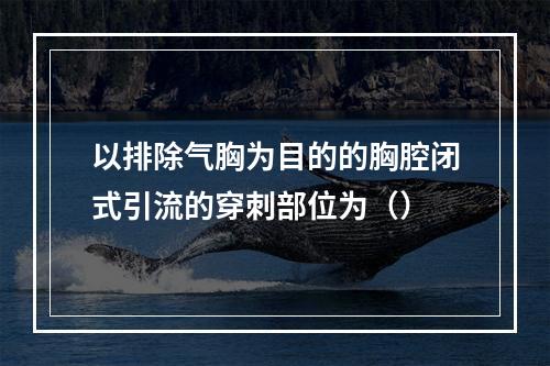 以排除气胸为目的的胸腔闭式引流的穿刺部位为（）