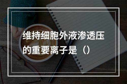 维持细胞外液渗透压的重要离子是（）