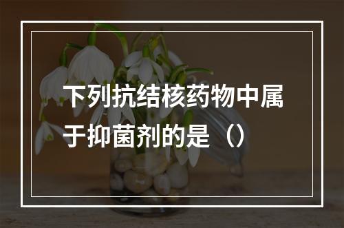 下列抗结核药物中属于抑菌剂的是（）