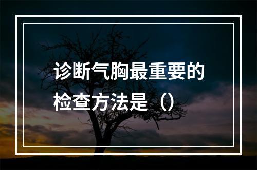 诊断气胸最重要的检查方法是（）