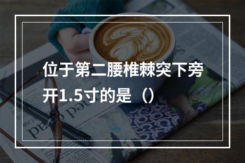 位于第二腰椎棘突下旁开1.5寸的是（）