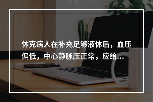 休克病人在补充足够液体后，血压偏低，中心静脉压正常，应给予（