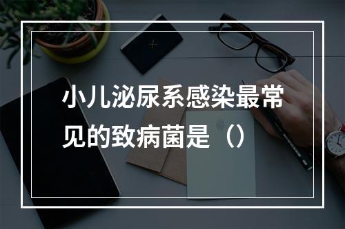 小儿泌尿系感染最常见的致病菌是（）