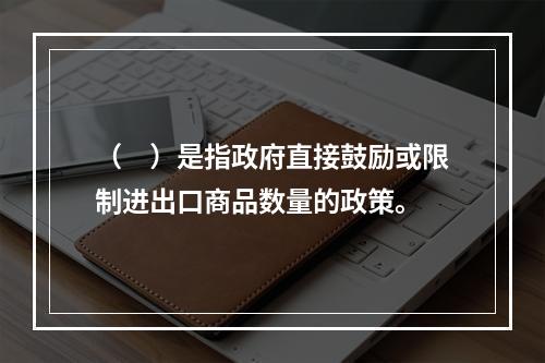 （　）是指政府直接鼓励或限制进出口商品数量的政策。