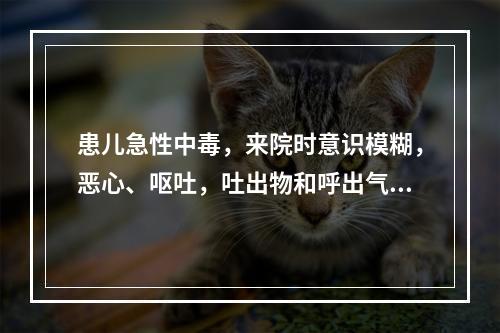 患儿急性中毒，来院时意识模糊，恶心、呕吐，吐出物和呼出气体有