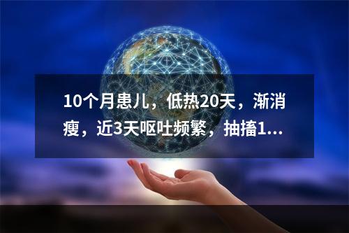 10个月患儿，低热20天，渐消瘦，近3天呕吐频繁，抽搐10余