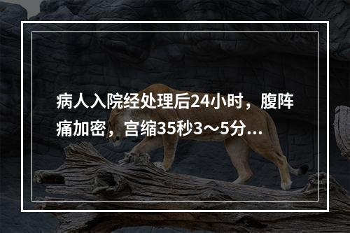 病人入院经处理后24小时，腹阵痛加密，宫缩35秒3～5分。胎