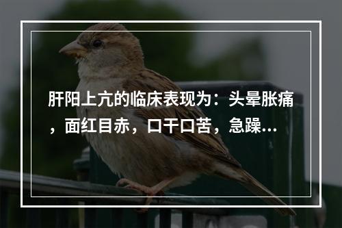 肝阳上亢的临床表现为：头晕胀痛，面红目赤，口干口苦，急躁易怒