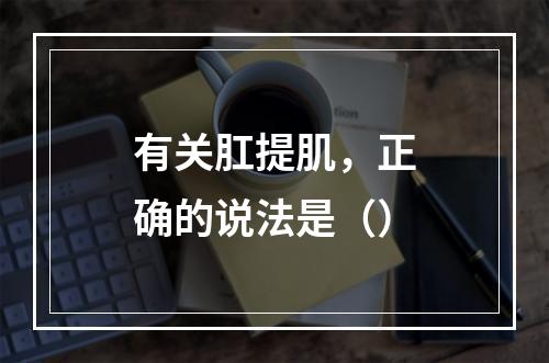 有关肛提肌，正确的说法是（）