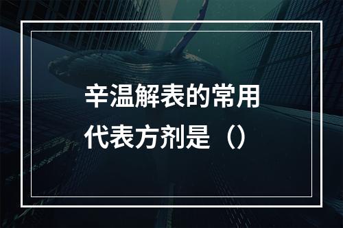 辛温解表的常用代表方剂是（）