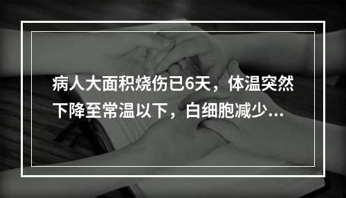 病人大面积烧伤已6天，体温突然下降至常温以下，白细胞减少、脉