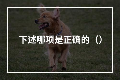 下述哪项是正确的（）