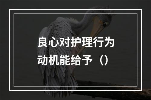 良心对护理行为动机能给予（）