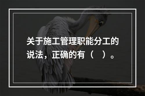 关于施工管理职能分工的说法，正确的有（　）。