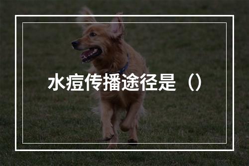 水痘传播途径是（）