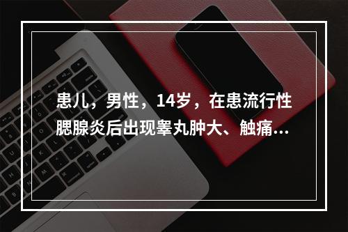 患儿，男性，14岁，在患流行性腮腺炎后出现睾丸肿大、触痛，诊