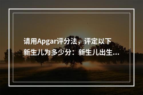 请用Apgar评分法，评定以下新生儿为多少分：新生儿出生后，