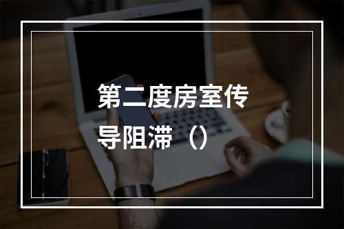 第二度房室传导阻滞（）