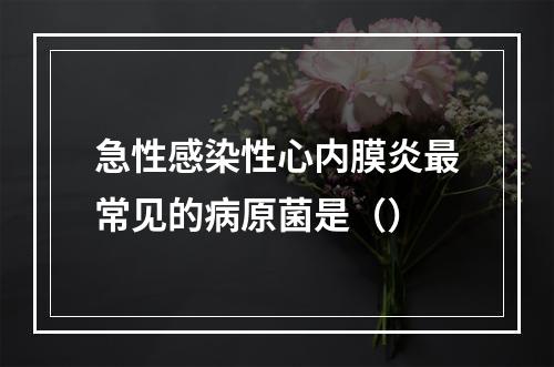 急性感染性心内膜炎最常见的病原菌是（）