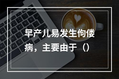 早产儿易发生佝偻病，主要由于（）