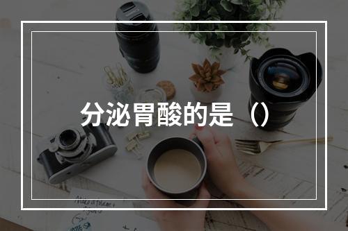 分泌胃酸的是（）