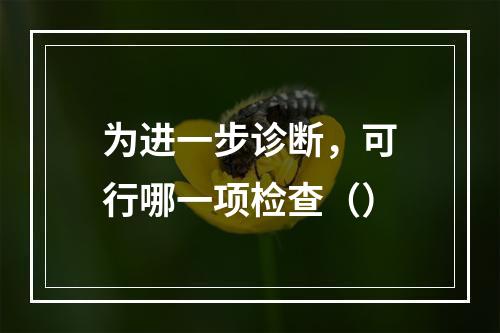 为进一步诊断，可行哪一项检查（）