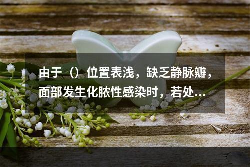 由于（）位置表浅，缺乏静脉瓣，面部发生化脓性感染时，若处理不