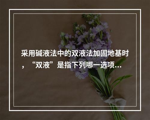 采用碱液法中的双液法加固地基时，“双液”是指下列哪一选项中