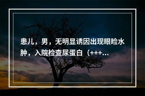 患儿，男，无明显诱因出现眼睑水肿，入院检查尿蛋白（+++），