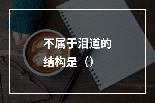 不属于泪道的结构是（）