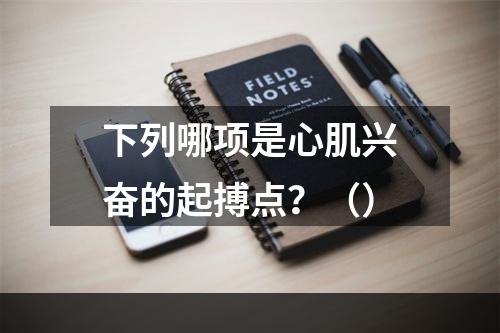 下列哪项是心肌兴奋的起搏点？（）