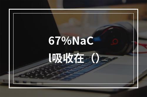 67%NaCl吸收在（）