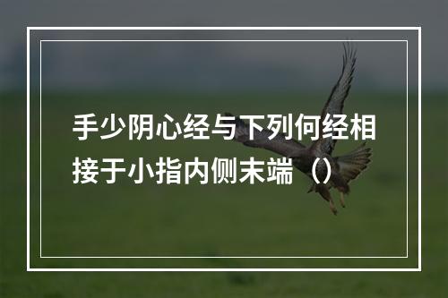 手少阴心经与下列何经相接于小指内侧末端（）