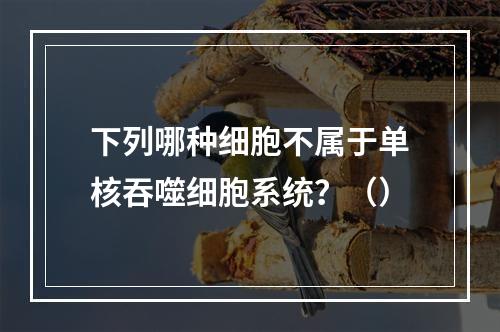 下列哪种细胞不属于单核吞噬细胞系统？（）