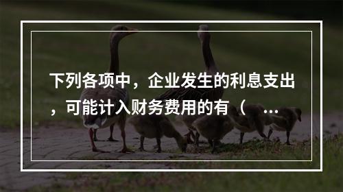 下列各项中，企业发生的利息支出，可能计入财务费用的有（　）。