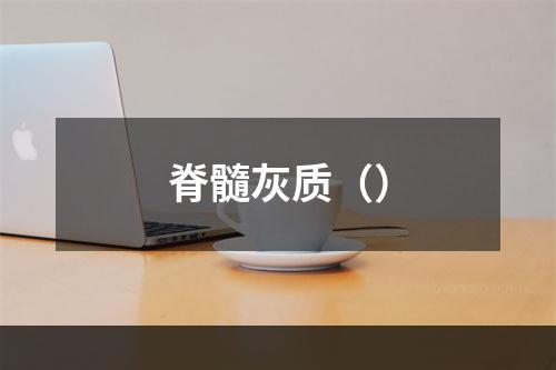 脊髓灰质（）