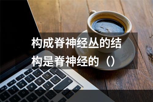 构成脊神经丛的结构是脊神经的（）