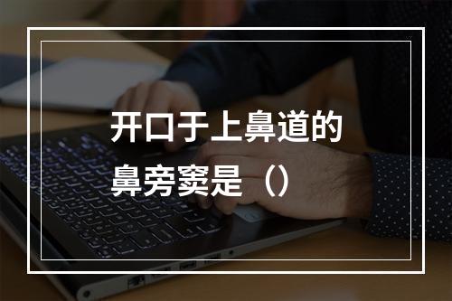 开口于上鼻道的鼻旁窦是（）