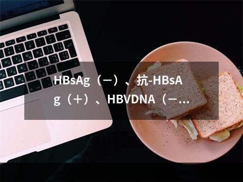 HBsAg（－）、抗-HBsAg（＋）、HBVDNA（－）提