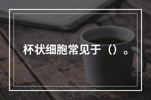 杯状细胞常见于（）。