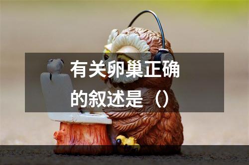 有关卵巢正确的叙述是（）