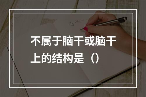 不属于脑干或脑干上的结构是（）