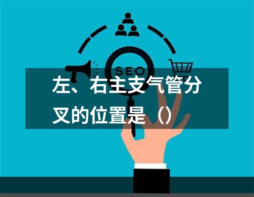 左、右主支气管分叉的位置是（）