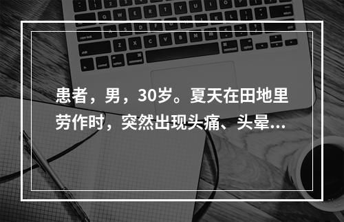 患者，男，30岁。夏天在田地里劳作时，突然出现头痛、头晕，呕