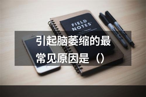 引起脑萎缩的最常见原因是（）