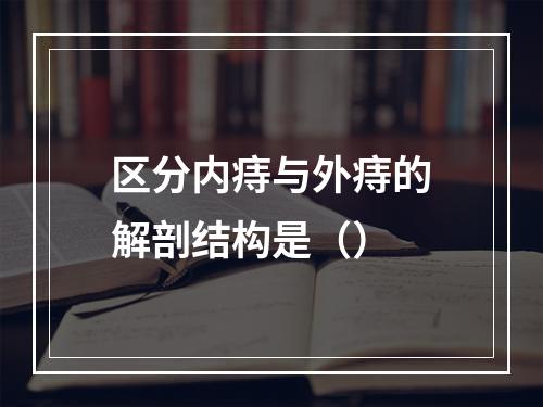 区分内痔与外痔的解剖结构是（）