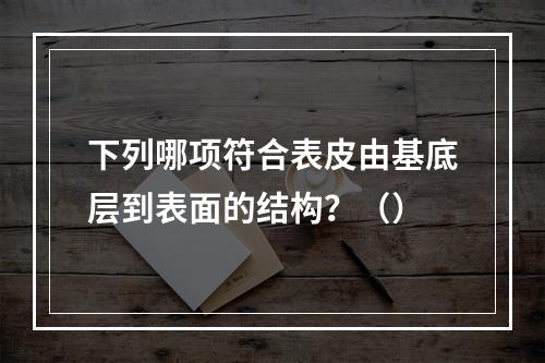 下列哪项符合表皮由基底层到表面的结构？（）