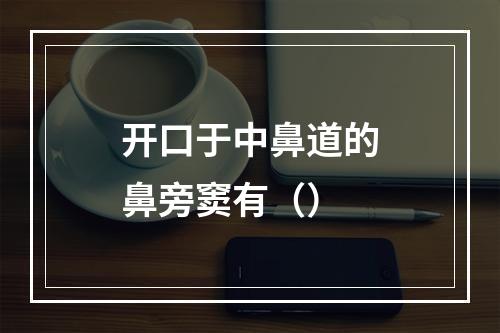 开口于中鼻道的鼻旁窦有（）